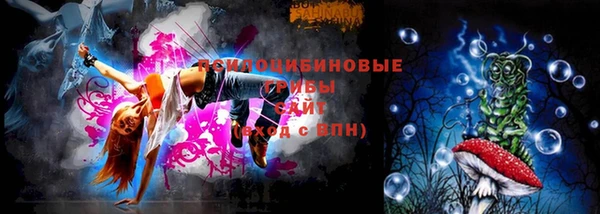 spice Белокуриха