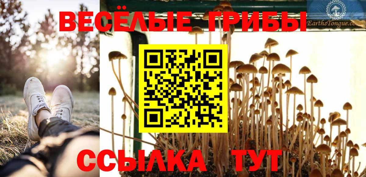 Галлюциногенные грибы ЛСД Видное